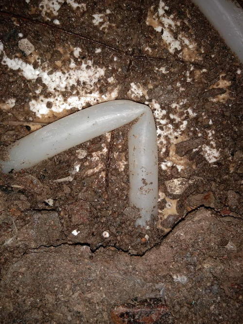 安陆堵点精准查找